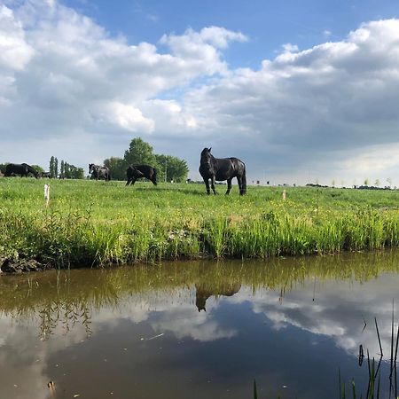 Vakantiehuis In Friesland Voor De Hele Familie Huns Exterior foto