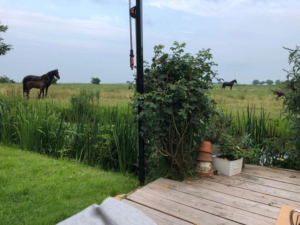 Vakantiehuis In Friesland Voor De Hele Familie Huns Exterior foto