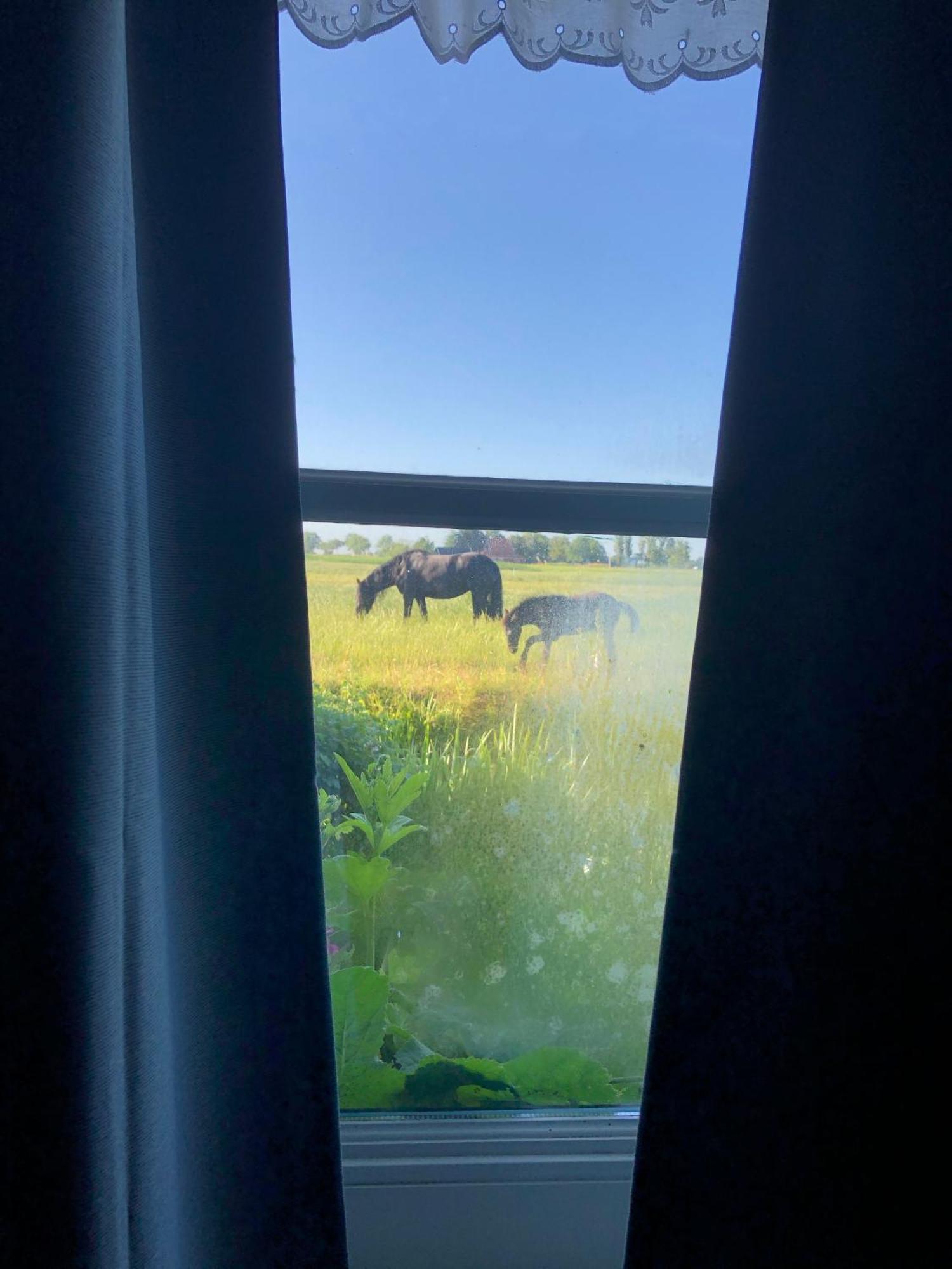 Vakantiehuis In Friesland Voor De Hele Familie Huns Exterior foto