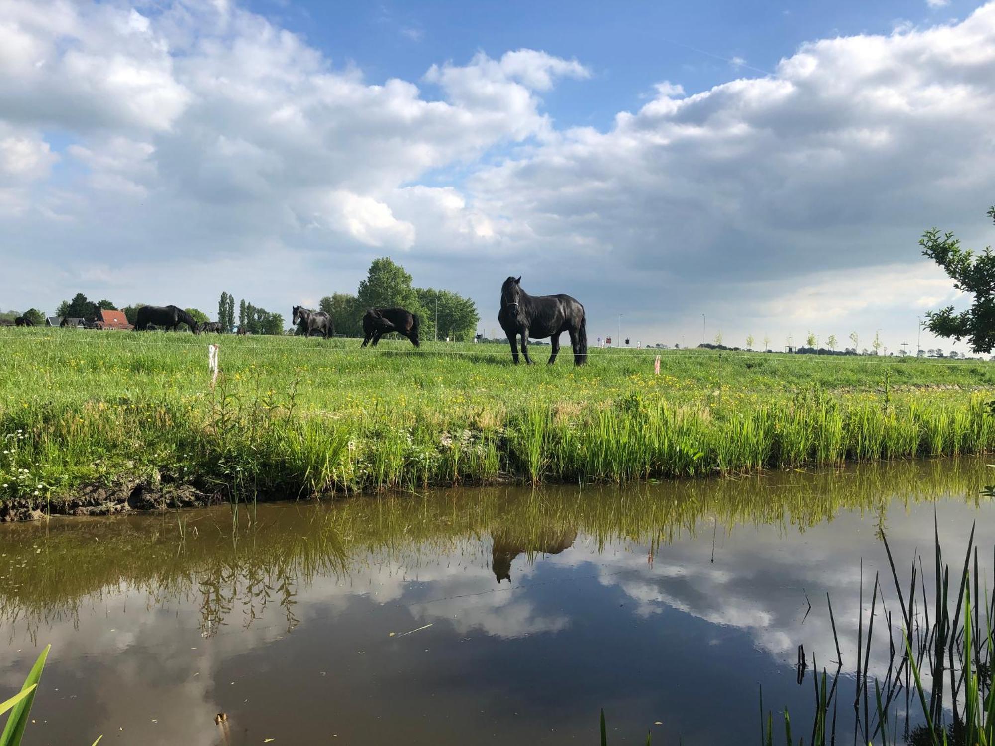 Vakantiehuis In Friesland Voor De Hele Familie Huns Exterior foto
